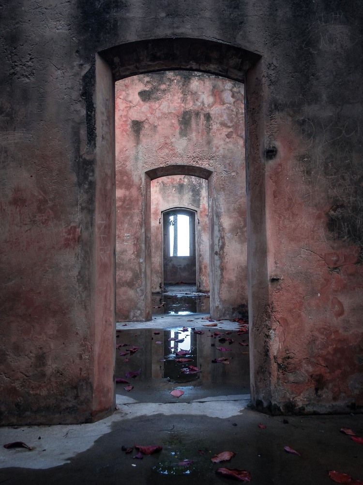 Photograph by Игорь Кара-Ушанов