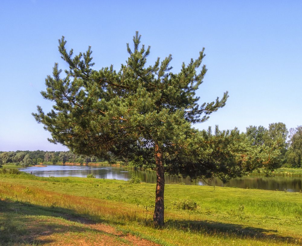 Фотография автора Цветков Сергей