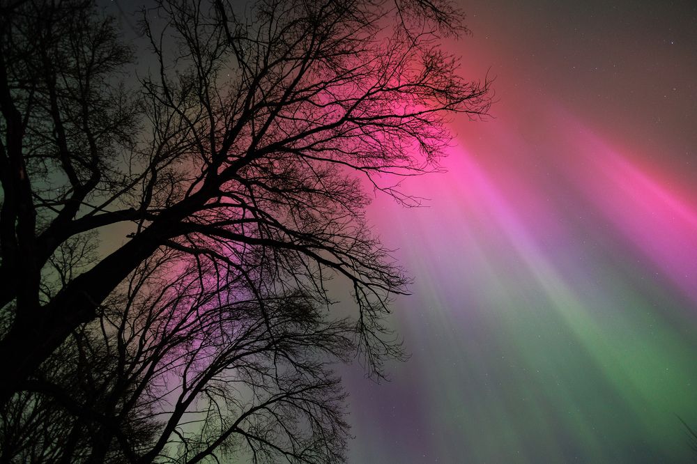 Photograph by Денис Григорьев