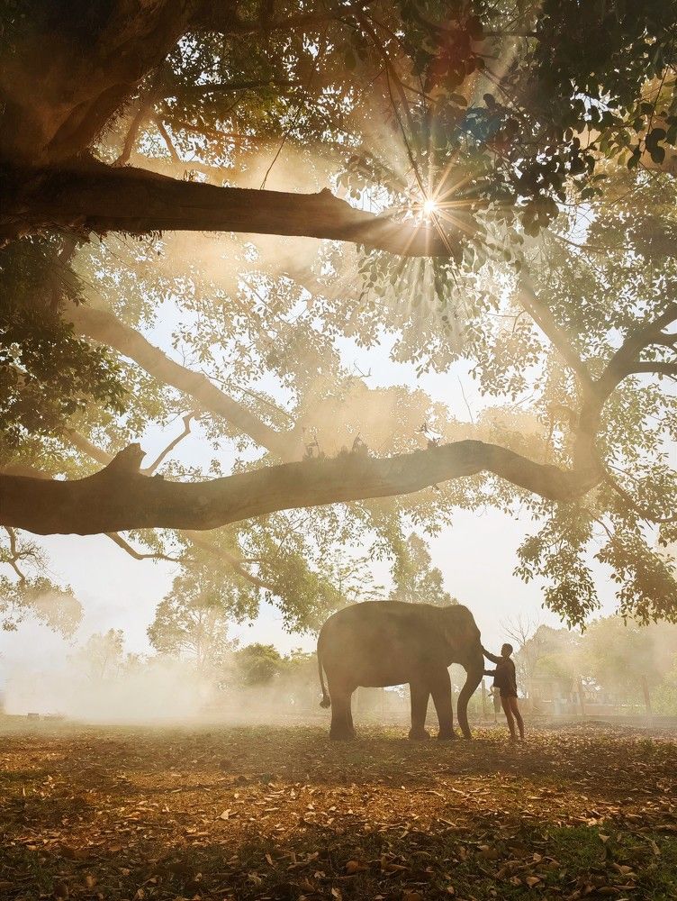 Photograph by Tran Phuong