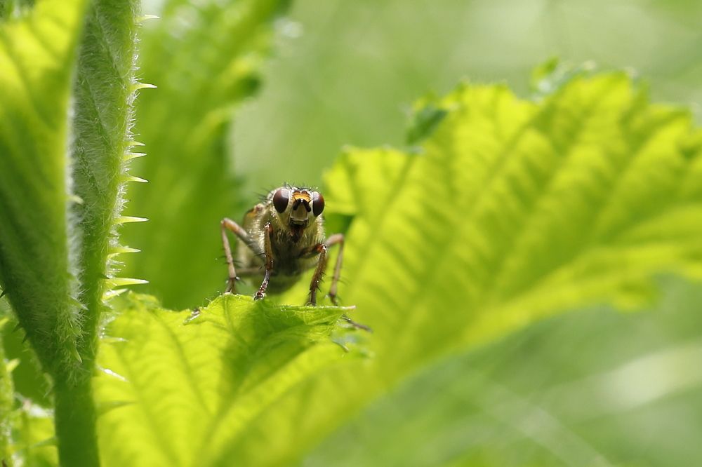 Photograph by Уктам Джалалов