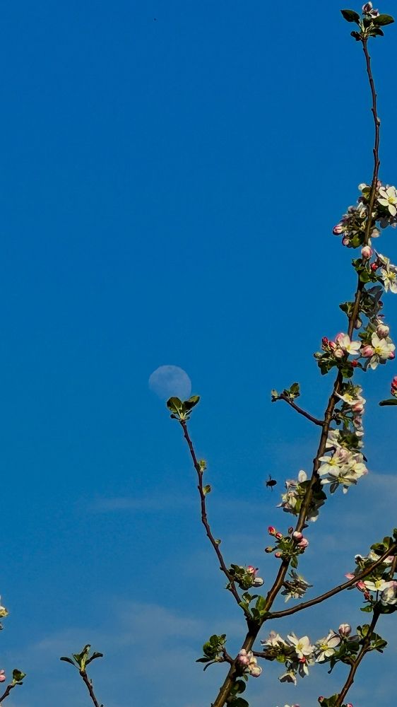 Photograph by Райхерт Вероника