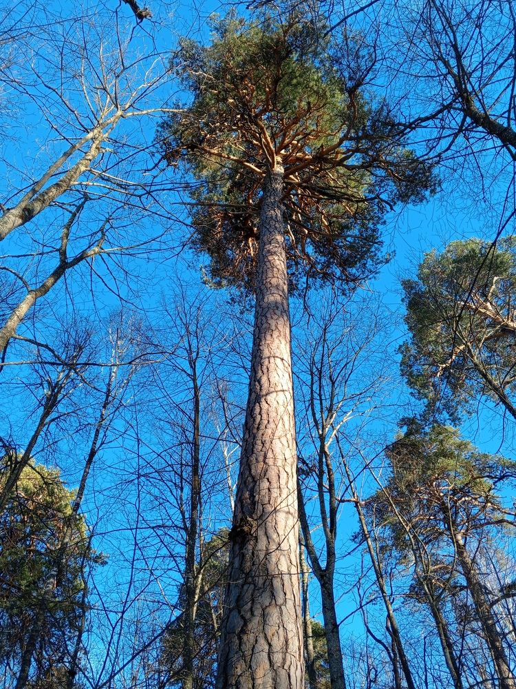 Photograph by Aleks Dem
