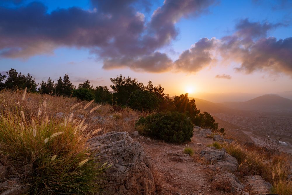 Photograph by Ilya Stolov