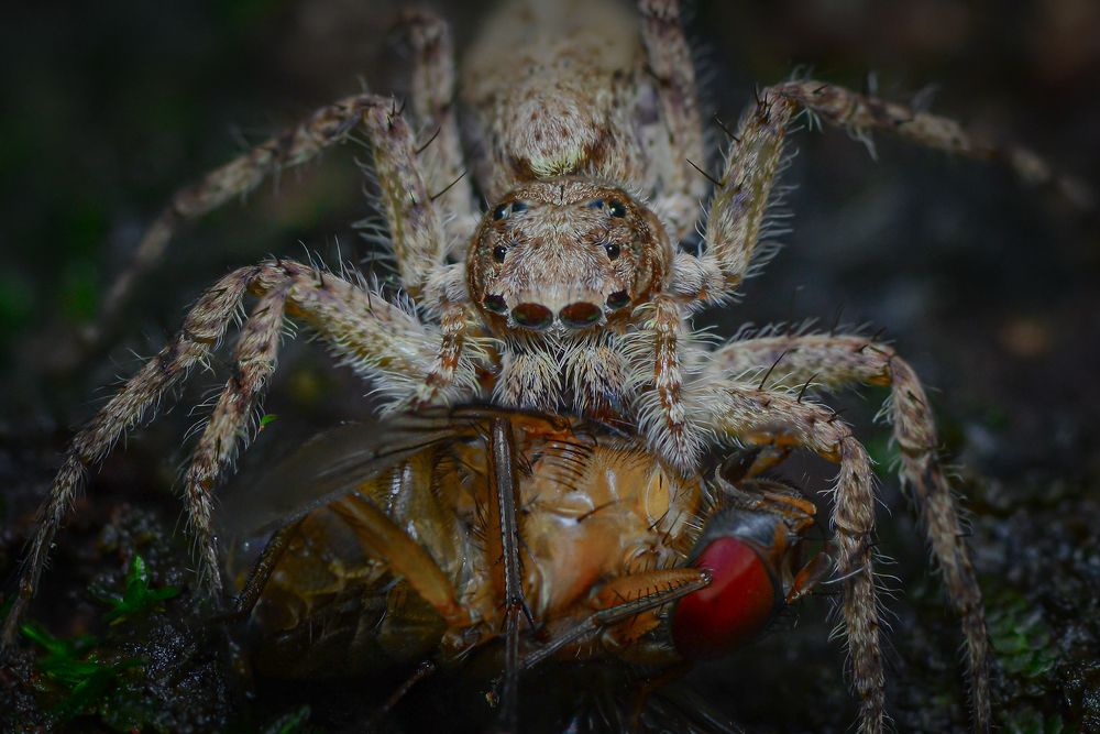 Photograph by Kasun Wickramasinghe