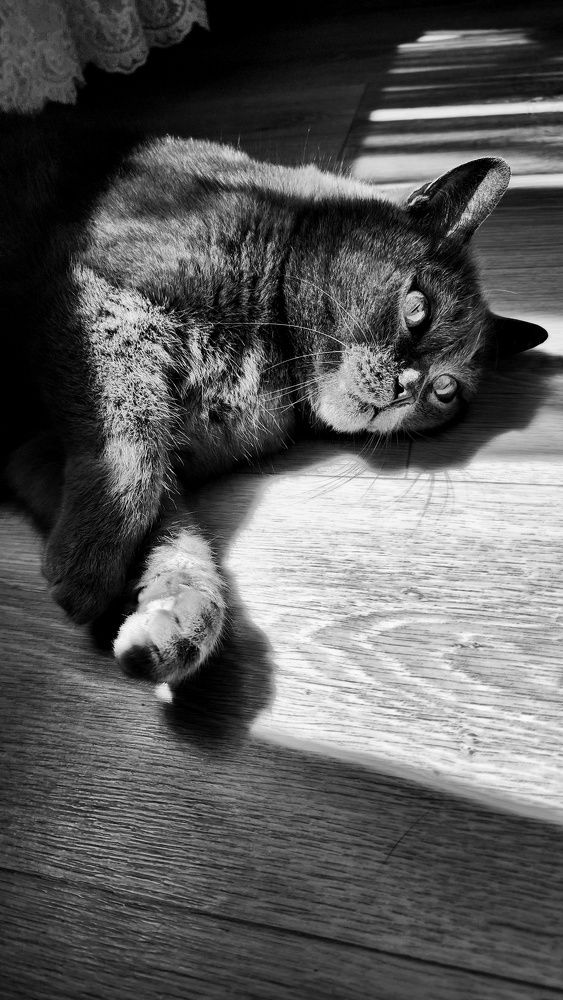 Photograph by Натали Кравец