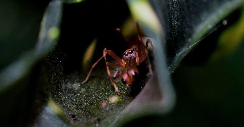 Photograph by Jeenbastian KJ