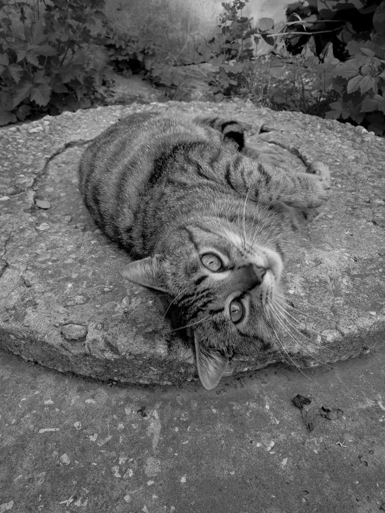 Photograph by Марина Гусева