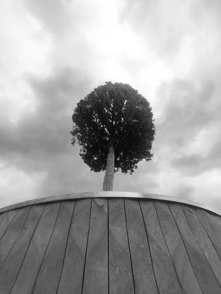 Photograph by Olga Gorokhova