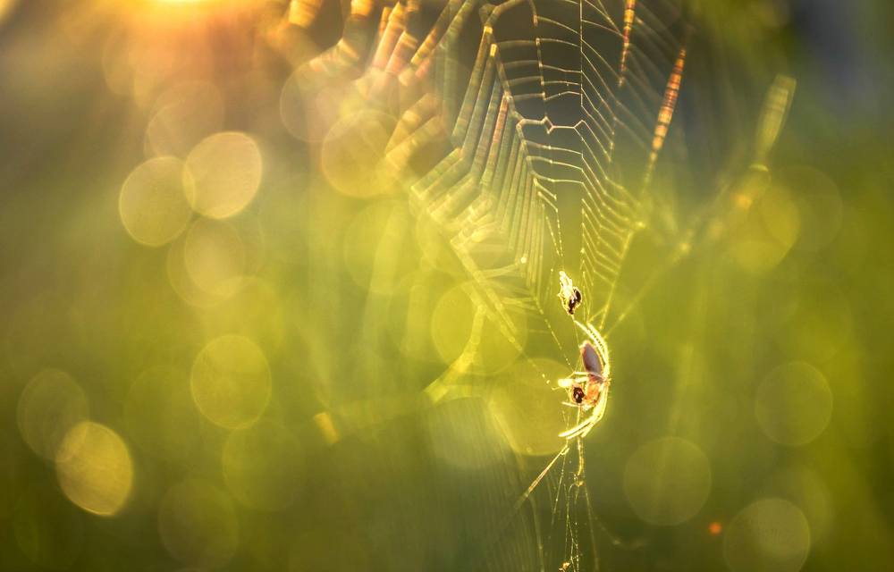 Photograph by Ngọc Phú Nguyễn