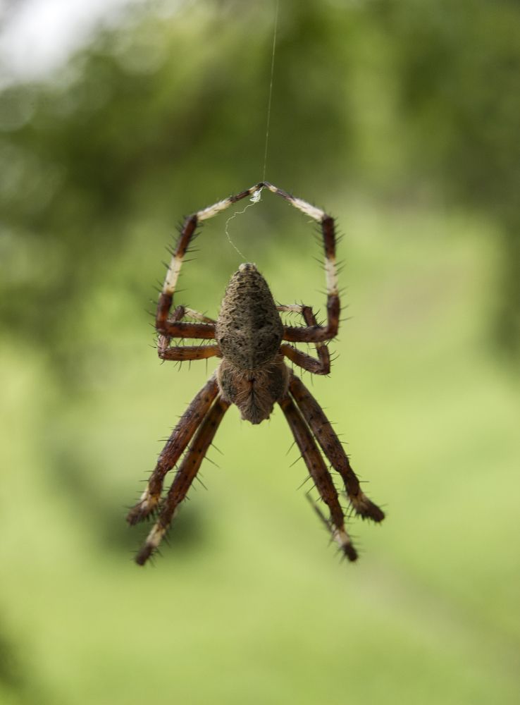Photograph by Sergey Tsubanov