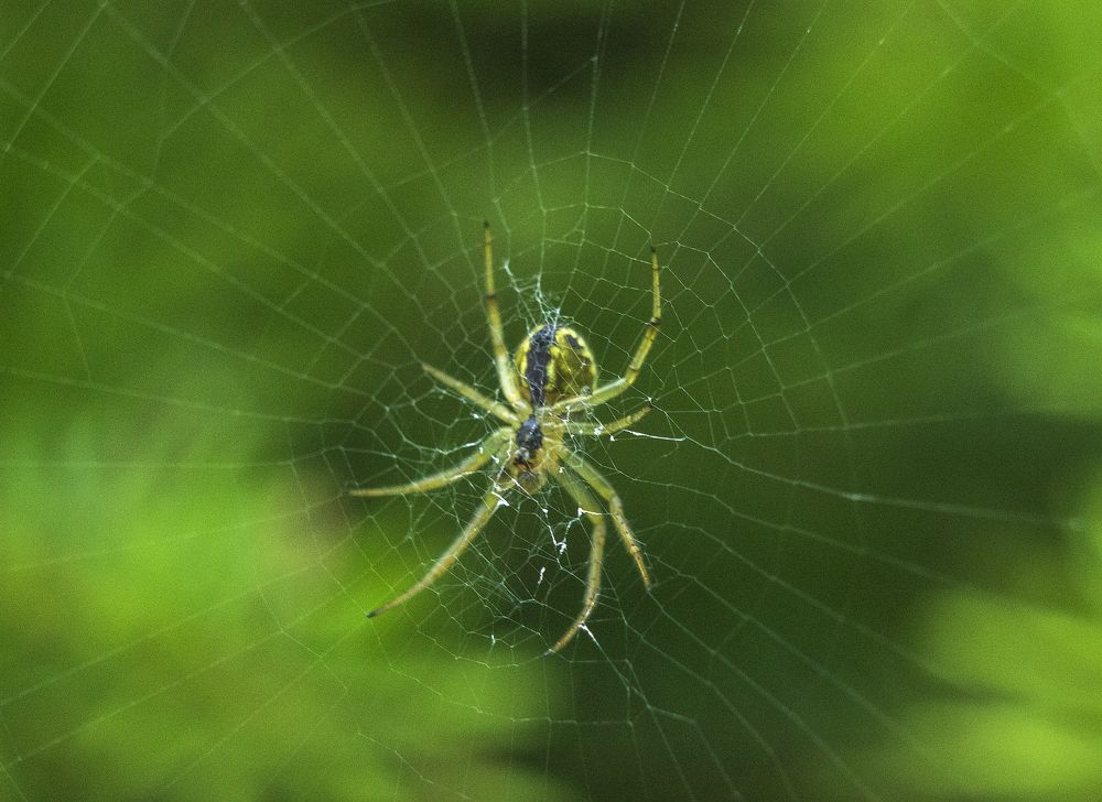 Photograph by Sergey Tsubanov