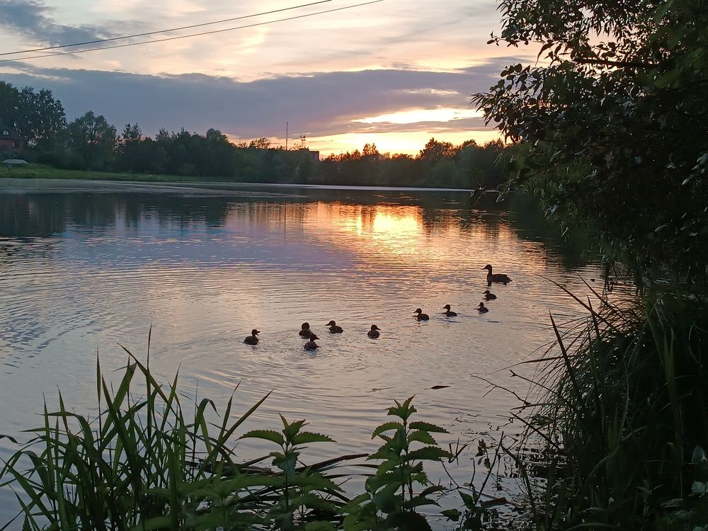 Photograph by ЮЛИЯ ОБРОКОВА