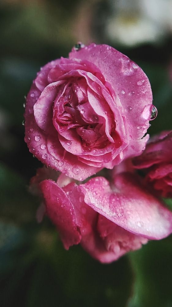 Фотография автора Анна Морозова