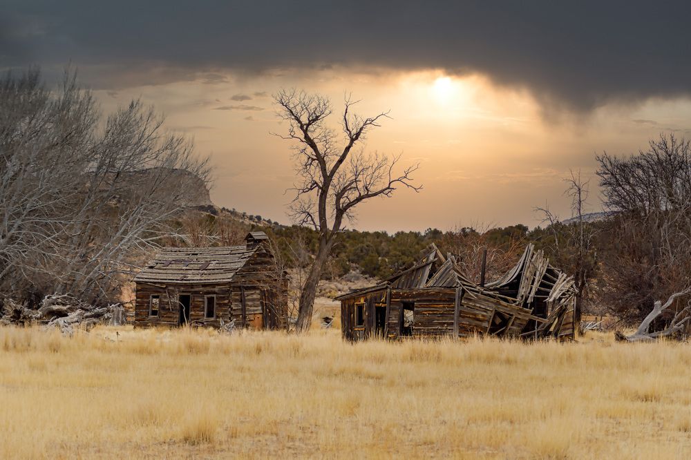 Photograph by Daria Osipova