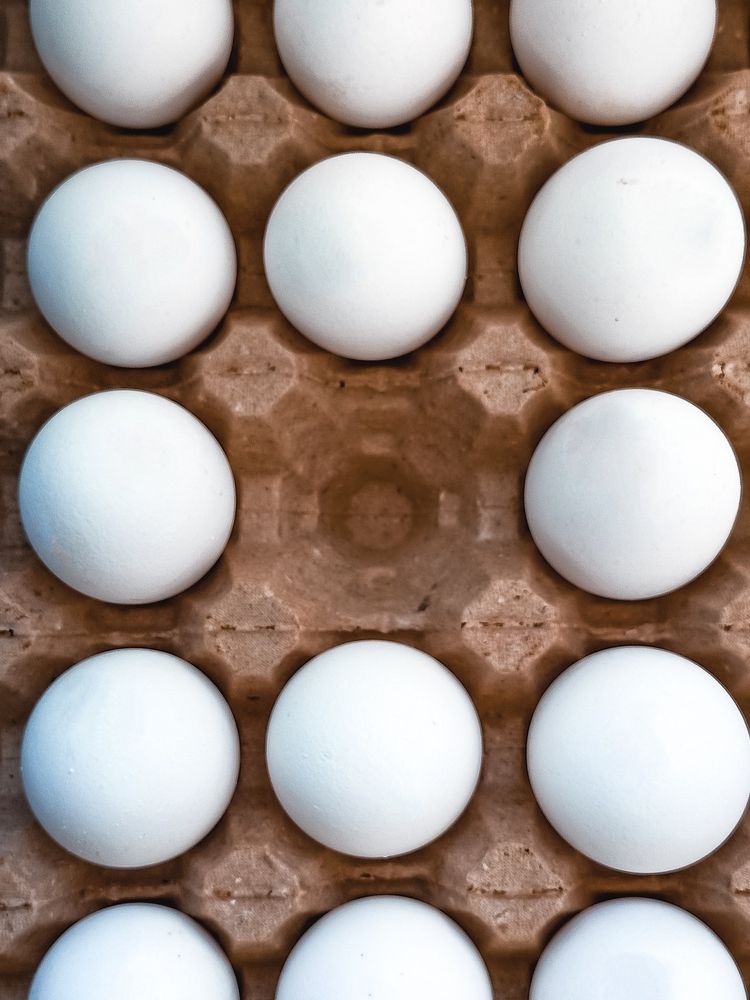 Фотография автора Татьяна Шахова