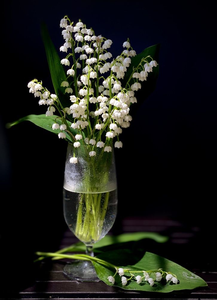 Фотография автора Evgeniya Ivanova