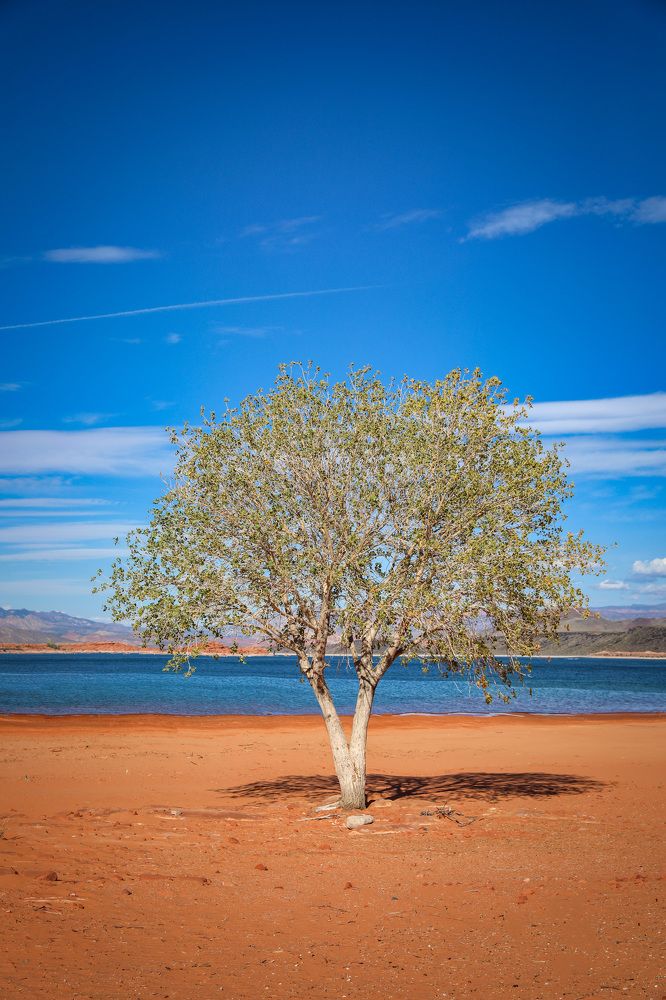 Photograph by Daria Osipova