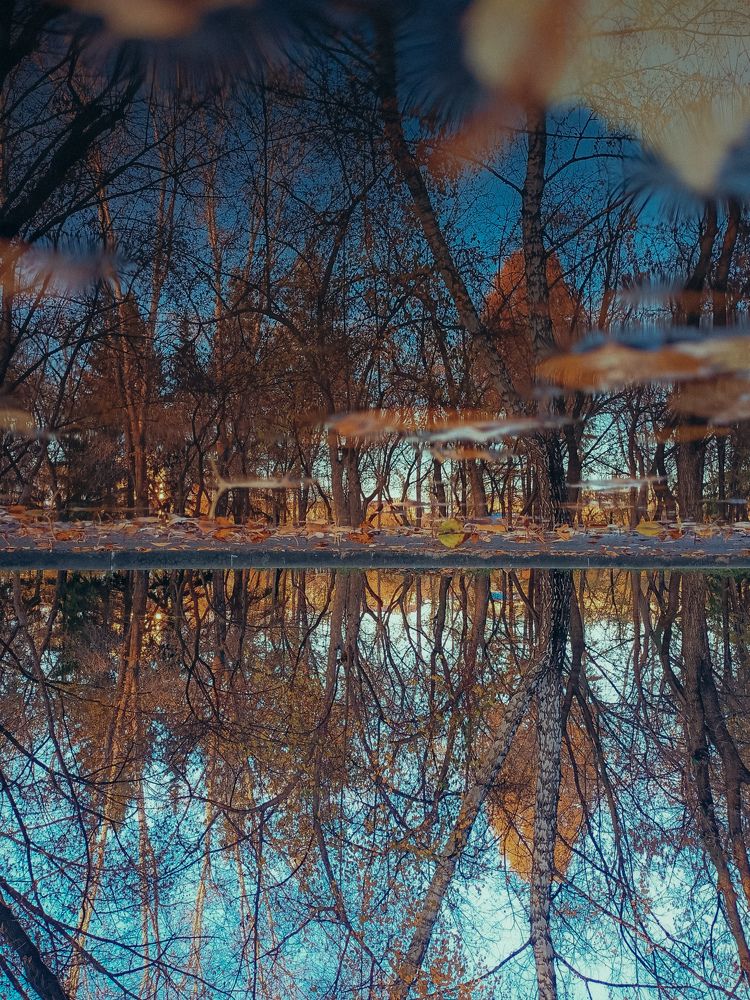 Фотография автора Татьяна Шахова