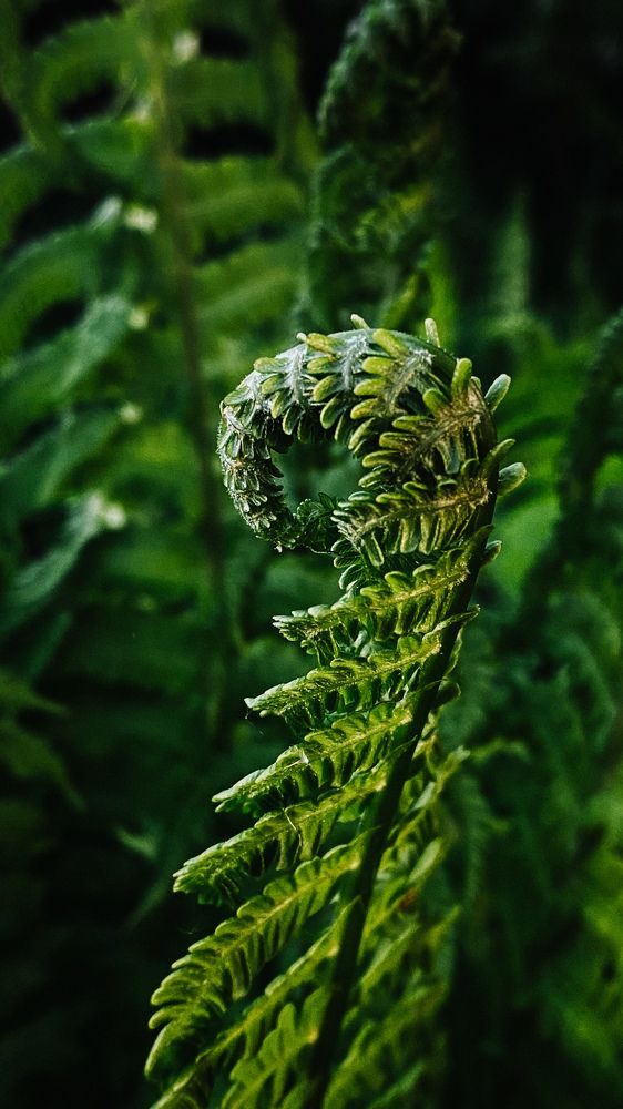 Photograph by Печерских Ксения