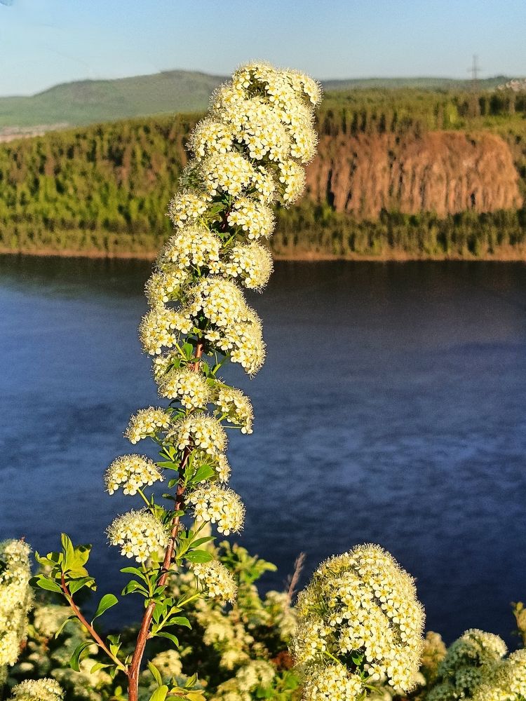 Photograph by Bin Mr.