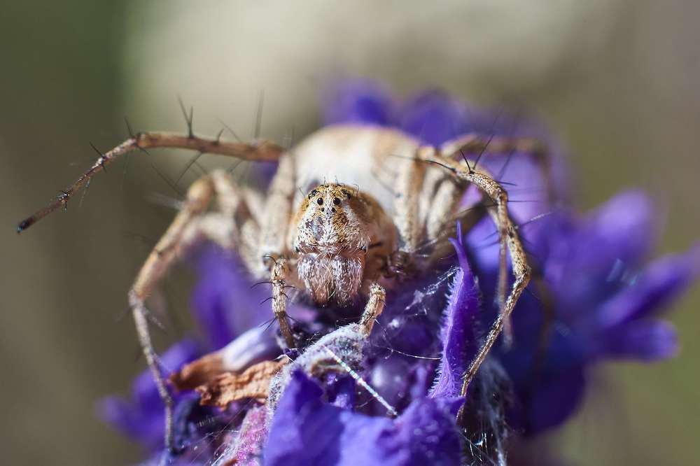 Photograph by Павел Сторчилов