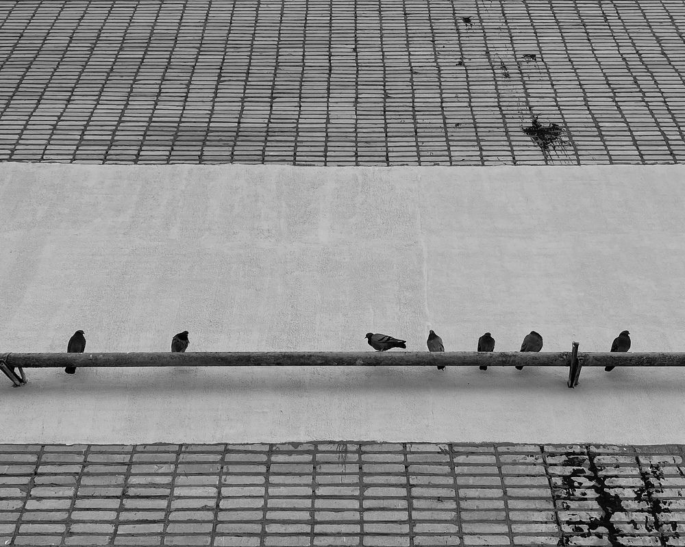 Photograph by Uladzimir Hvozd