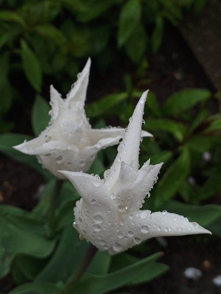 Photograph by Светлана Олейник