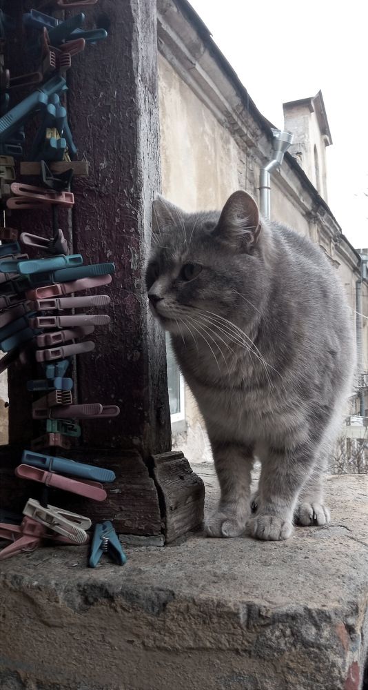 Photograph by Дмитрий Соколов