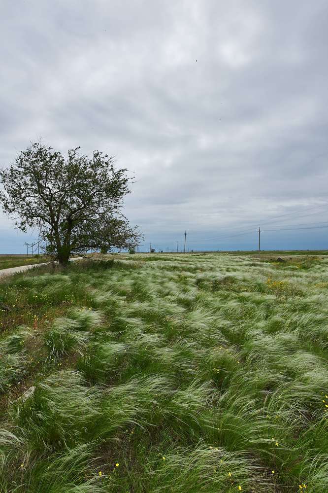 Photograph by Павел Сторчилов