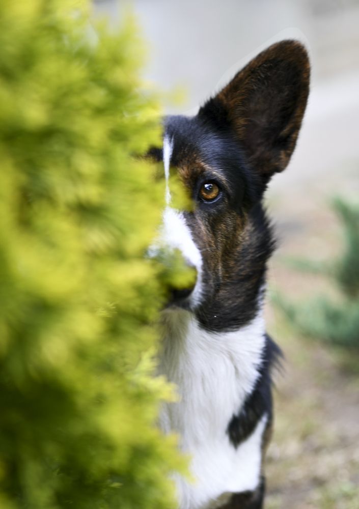 Фотография автора Людмила Капустина