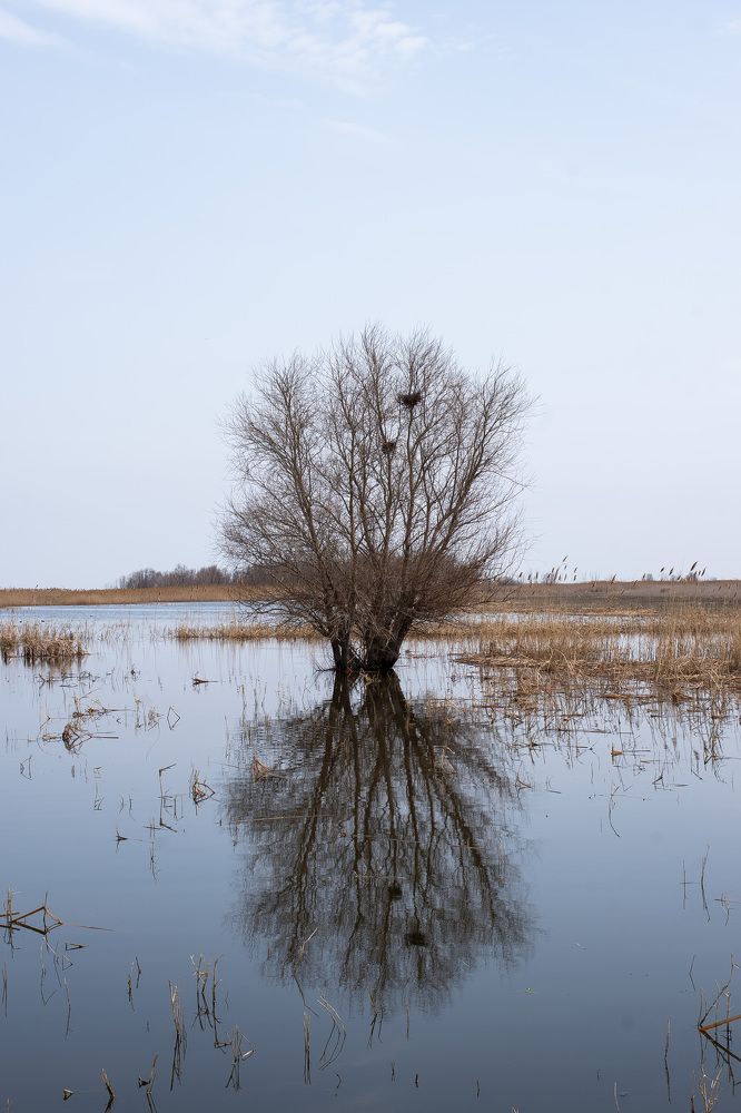 Photograph by Павел Сторчилов