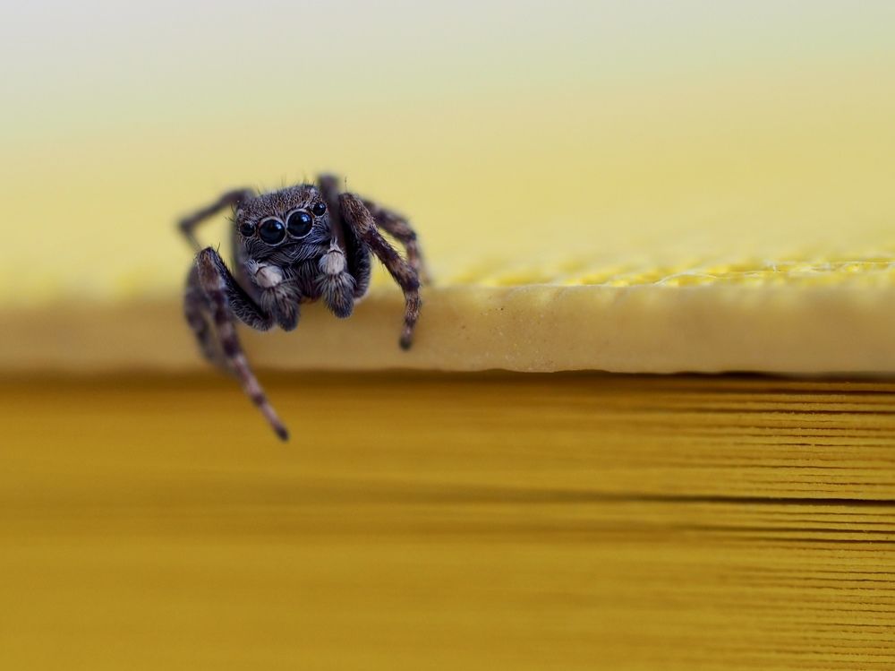 Photograph by Владимир Боровский