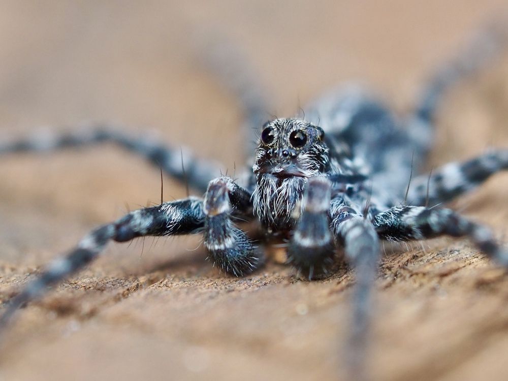 Photograph by Владимир Боровский