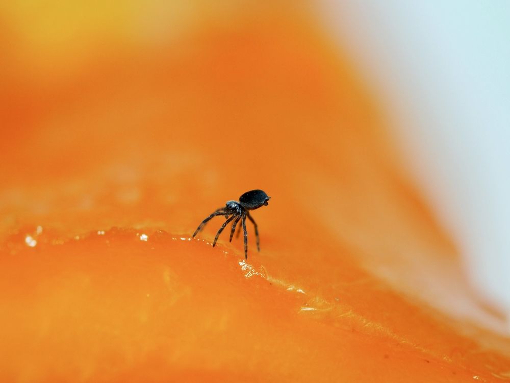 Photograph by Владимир Боровский