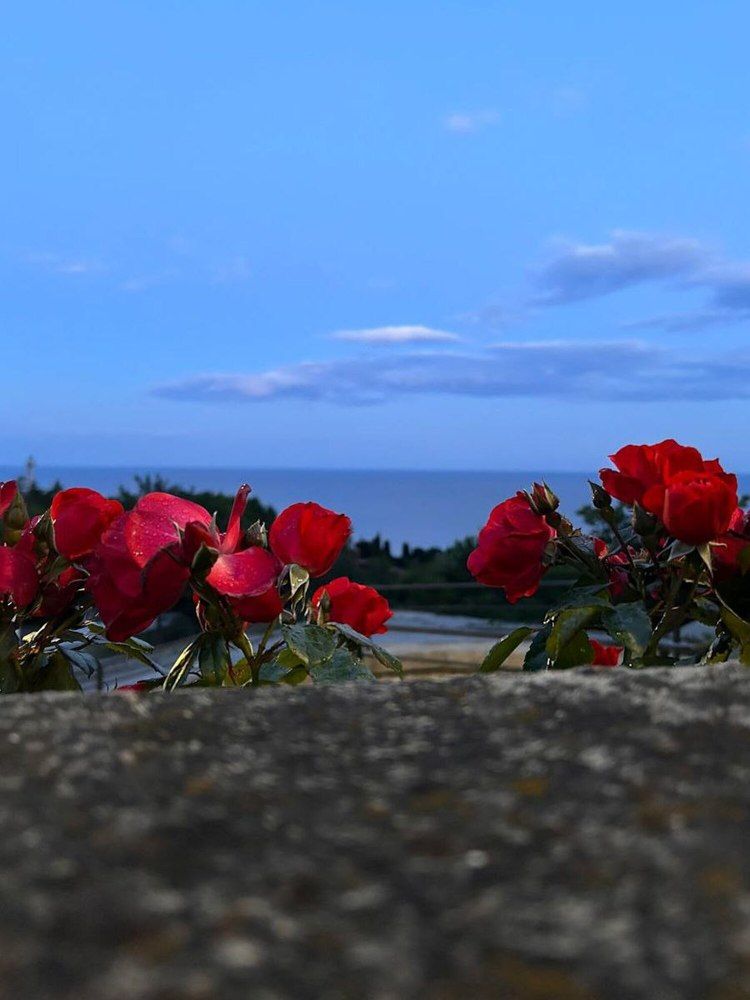 Фотография автора Yuliya Yuskova