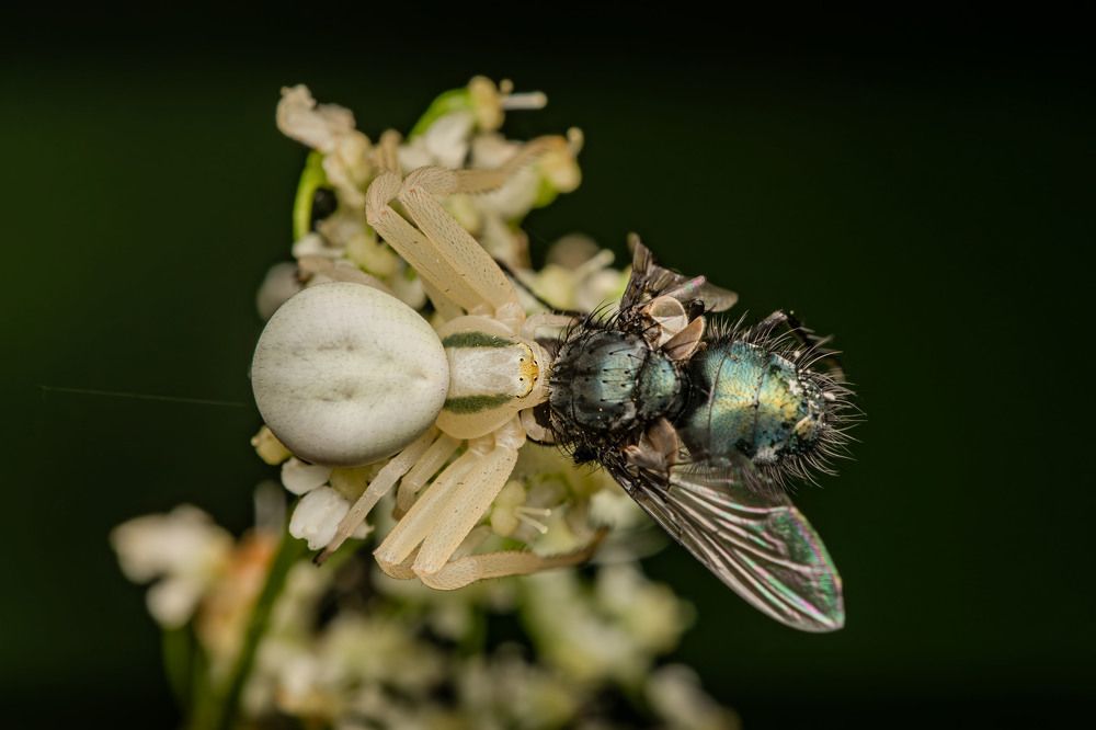 Фотография автора Виталий Сурков