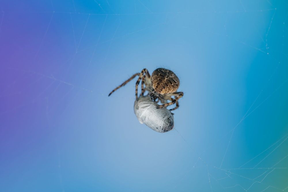 Фотография автора Виталий Сурков