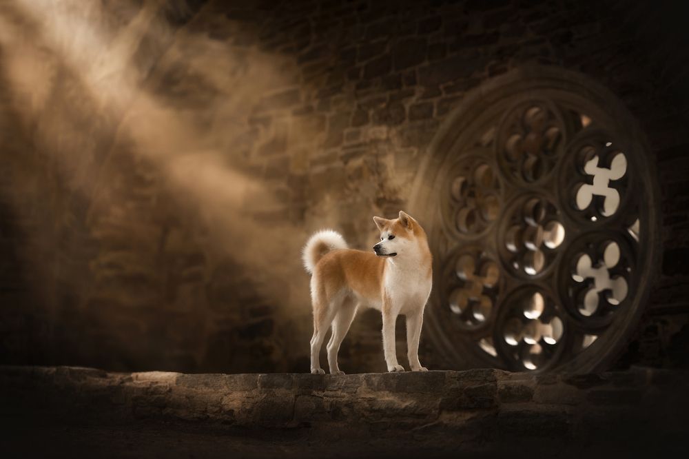 Photograph by Fleur Scholte