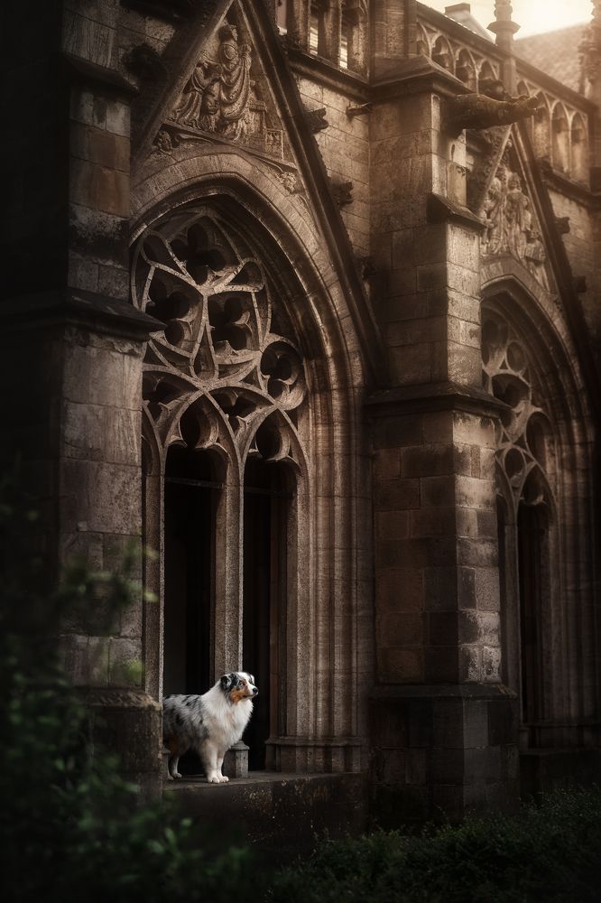 Photograph by Fleur Scholte