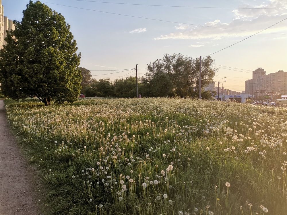 Photograph by Мария Клабукова