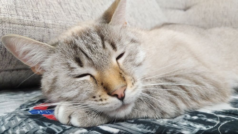 Фотография автора Вагуро Евгений