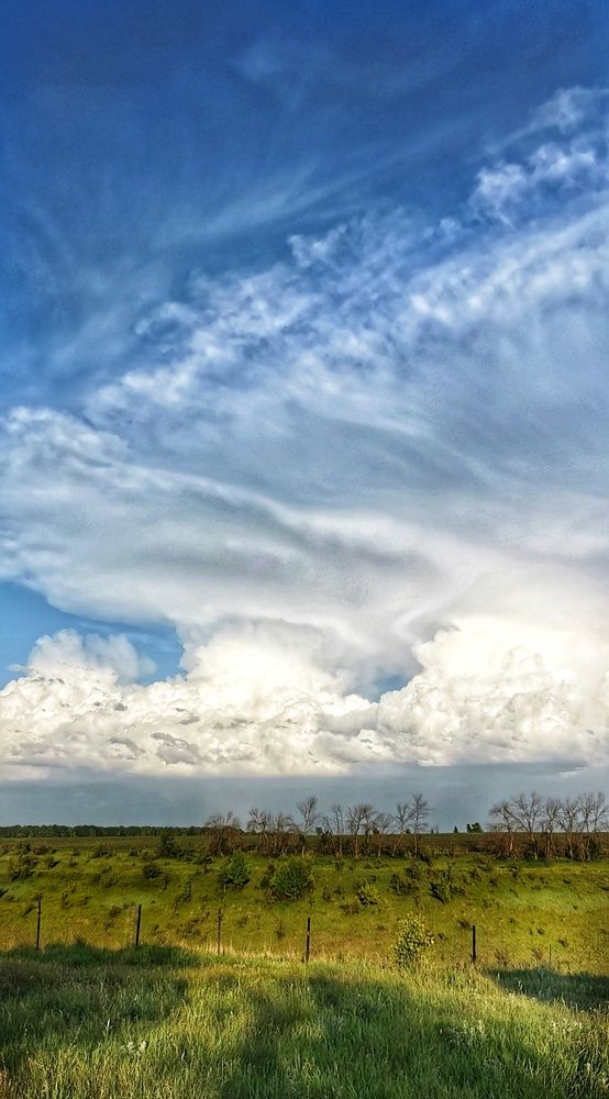 Photograph by Любовь Колмакова