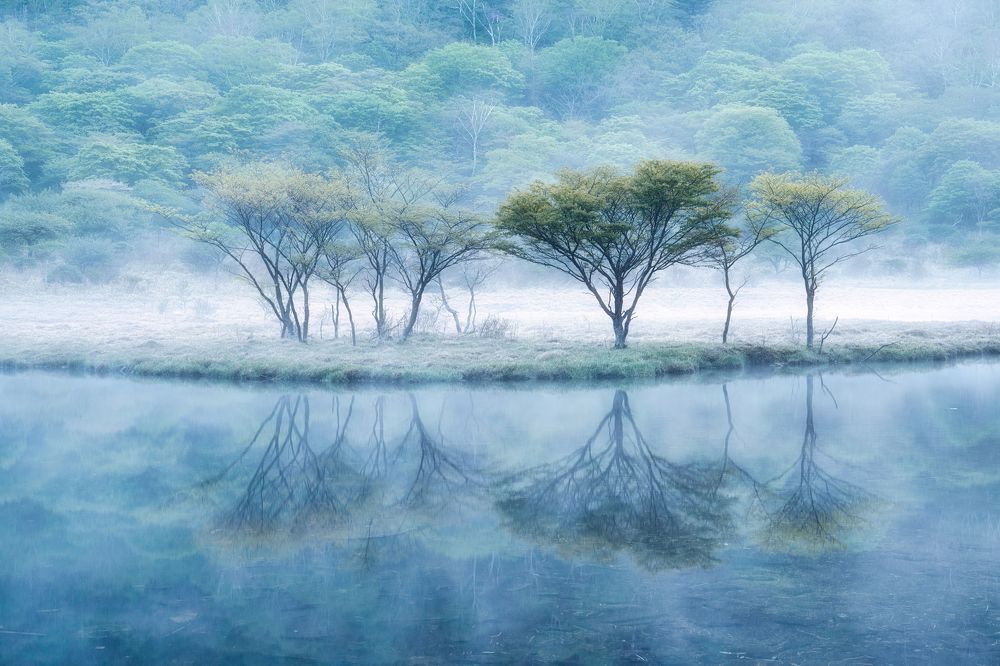 Photograph by 大悠