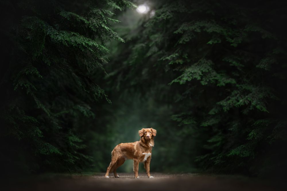 Photograph by Fleur Scholte