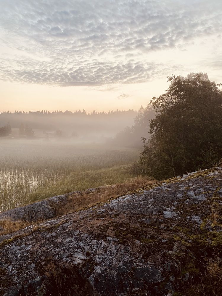 Photograph by Марина Суздаль