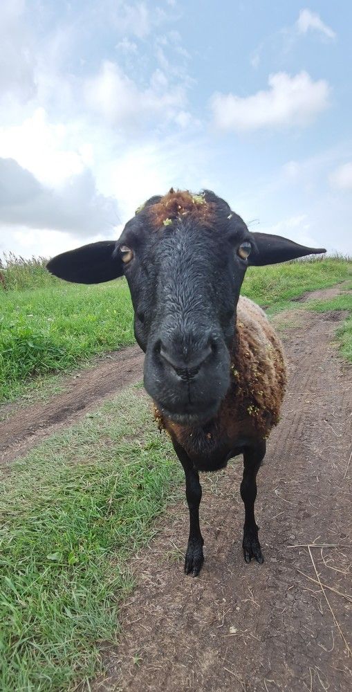 Photograph by Владимир Боровский