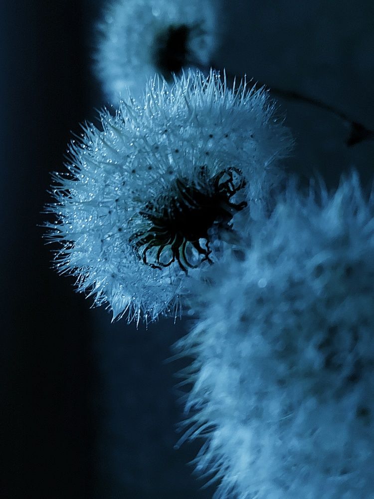 Photograph by Елена Кирикова