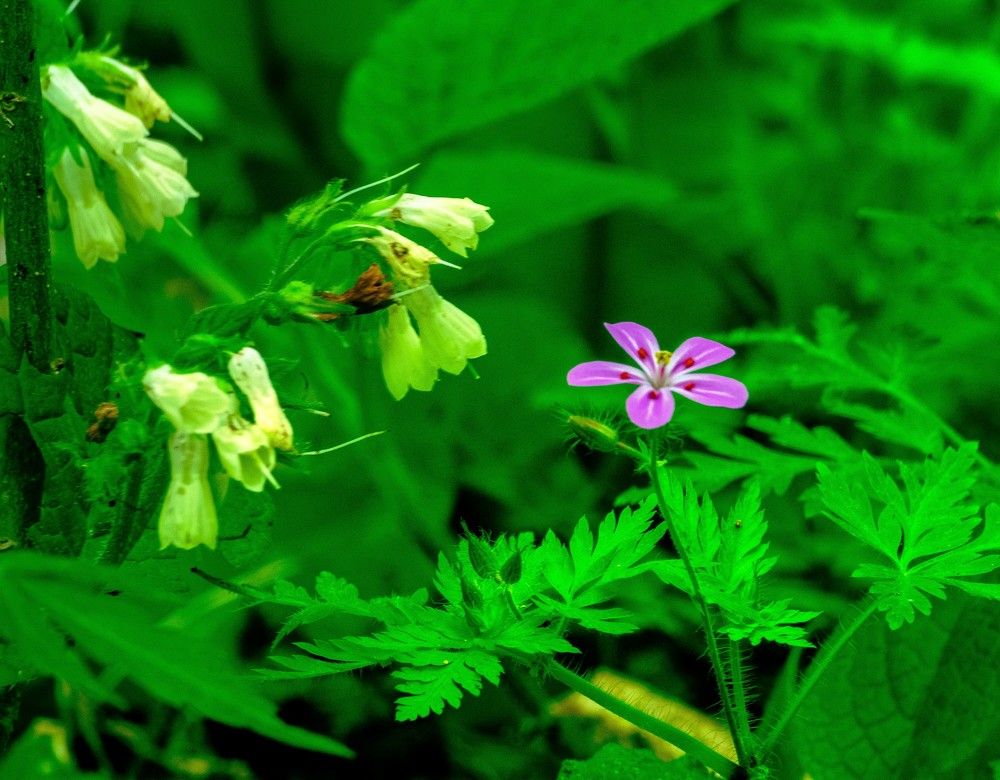 Photograph by mikhail goryachev