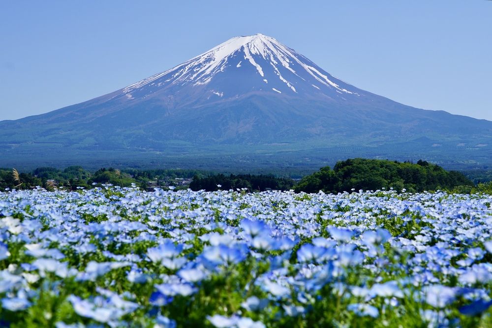 Фотография автора Liudmila Kiermeier